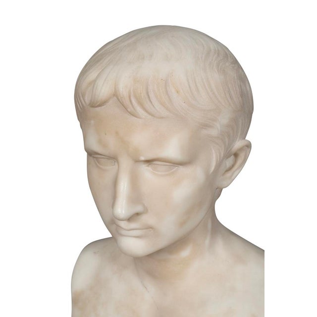 Italian Marble Bust of Caesar Augustus For Sale In Boston - Image 6 of 6