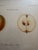 Series of 4 19th C Hand Colored Engravings of Apples For Sale - Image 11 of 17