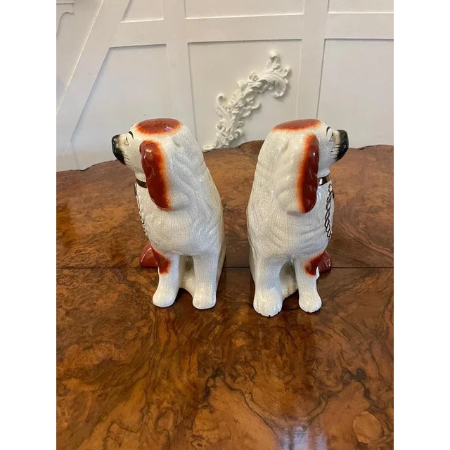 Pair of antique Victorian quality Staffordshire dogs having brown and white coloured coats with gold collars, chains and...