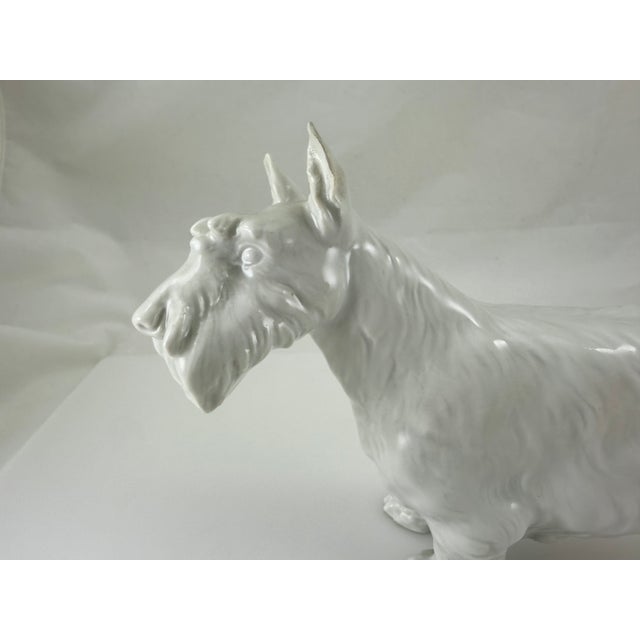 For your consideration, is a Meissen Blanc De Chine Porcelain Figurine of a Scottish Terrier. All my Scottish Terrier...
