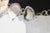 2000 - 2009 Shell and Fine Silver Bracelet by Charles Albert For Sale - Image 5 of 6
