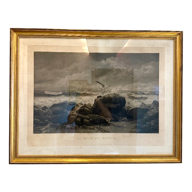 Goupil & Cie, La Roche aux Mouettes, 1879, Photogravure, Framed For Sale