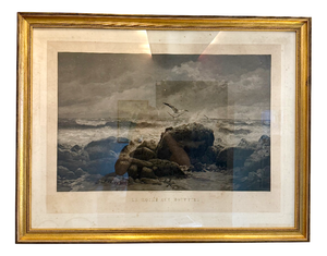 Goupil & Cie, La Roche aux Mouettes, 1879, Photogravure, Framed