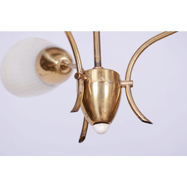 1950s Mid-Century Chandelier in Brass and Frosted Glass, Czech, 1950s For Sale - Image 5 of 12