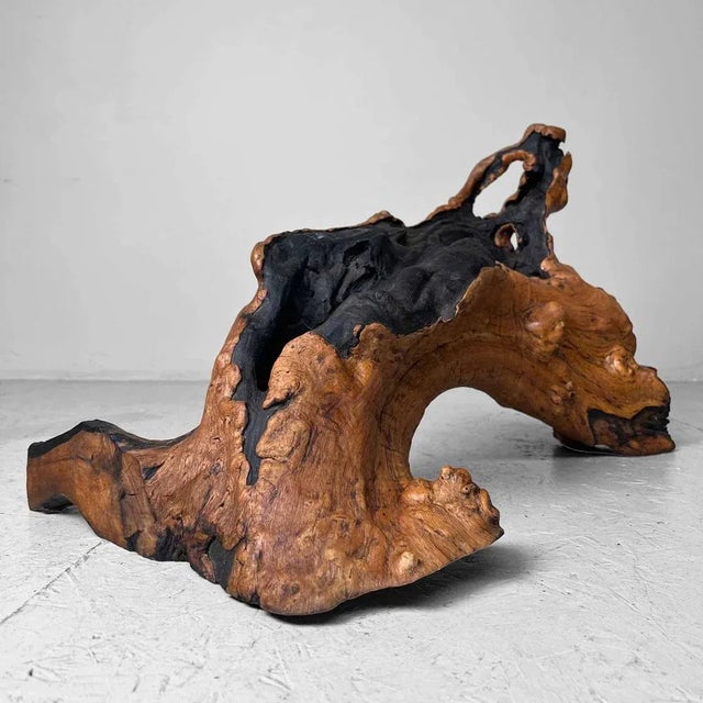 Black Wood Burl Wood, Japan, 1950s For Sale - Image 8 of 12
