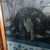 Camel 1960s Grand Scale Orientalist Seated Egyptian Woman Painting in Ornate Baroque Gilt Frame For Sale - Image 8 of 12