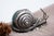 Perfect Silver Snail with Green Stone For Sale - Image 5 of 6