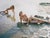Jock Sturges, Nude Adele and Audrey, Montalivet, France, 1995, Photography For Sale