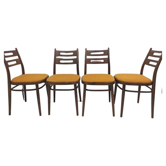 Chairs by Ton for Hala, Czechoslovakia, 1960s, Set of 4 For Sale - Image 12 of 12