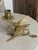 1920s Vintage Bronze Chimera Candlesticks, 1920s, Set of 2 For Sale - Image 5 of 18