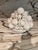 Italian White Fruit Topiary For Sale - Image 4 of 6