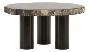 Petrified Wood Slab Coffee Table