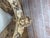 19th Century Italian Renaissance Venetian Tête-À-Tête Courting Bench W/ Cherubs For Sale - Image 12 of 18