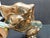 Sunol Alvar "Maternite" 1989Bronze Sculpture With Granite Base Signed For Sale - Image 13 of 17