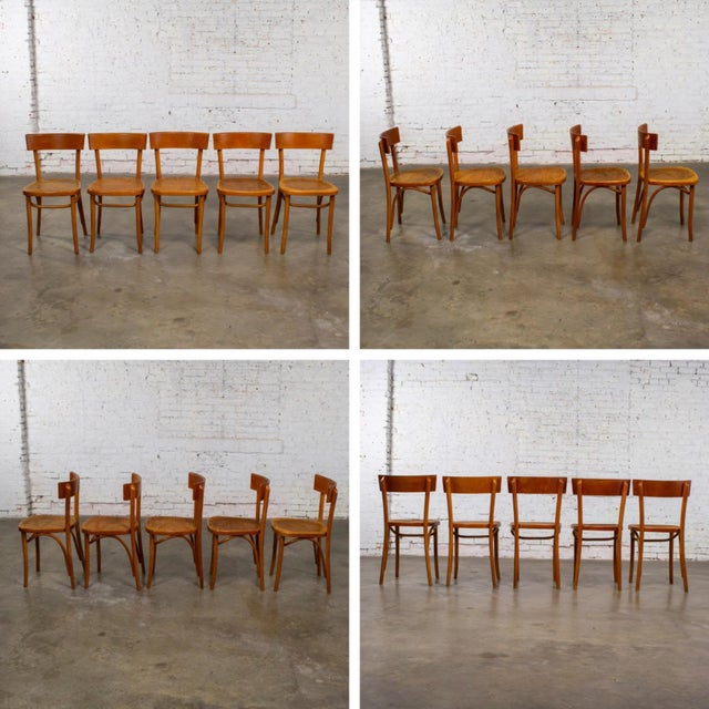 Mid to Late 20th Century Bauhaus Beech Bentwood Dining Chairs W/Cane Seats by Thonet Set of 5 For Sale - Image 16 of 18