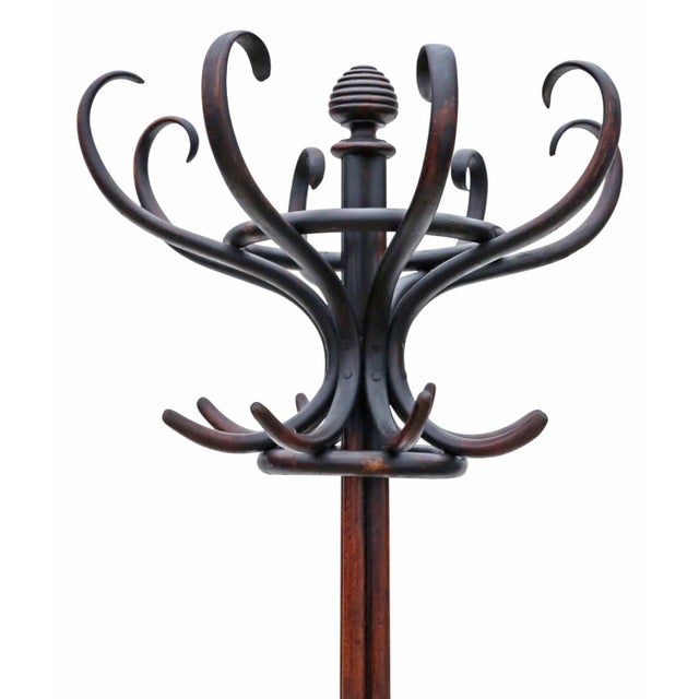 Antique Bentwood Hall Hat and Coat Stand, 1900s For Sale - Image 4 of 6