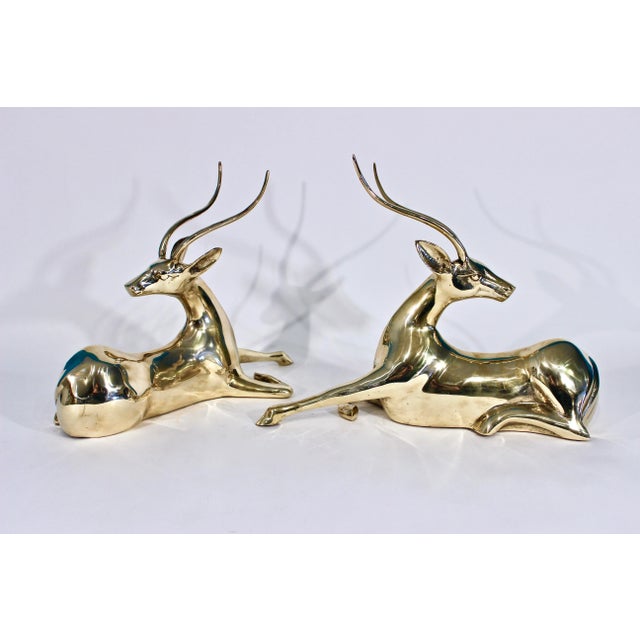 Oversize Pair of Solid Brass Impalas For Sale - Image 4 of 11