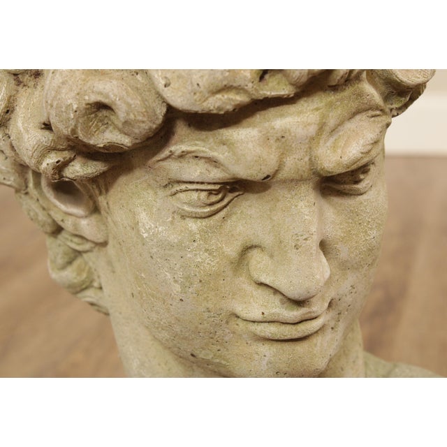 Early 20th Century Vintage Cast Stone Garden Bust Of Michelangelo's David (B) For Sale - Image 5 of 12
