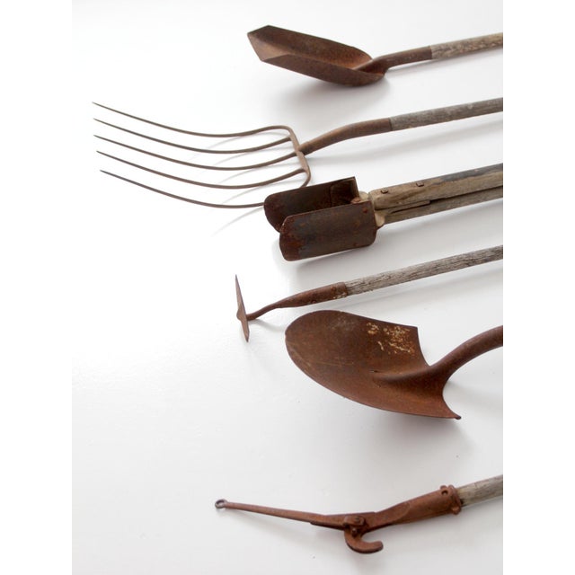 Early 20th Century Antique Garden Tool Collection For Sale - Image 5 of 18
