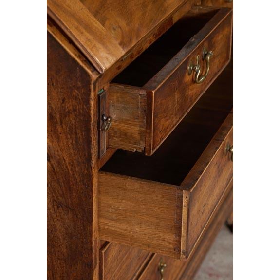Wood Early 19th Century Astral Glazed Burl Mahogany Bureau Bookcase For Sale - Image 7 of 14