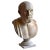 Stone Italian Artist, Hippocrates Bust, Early 20th Century, Carrara Marble For Sale - Image 7 of 7