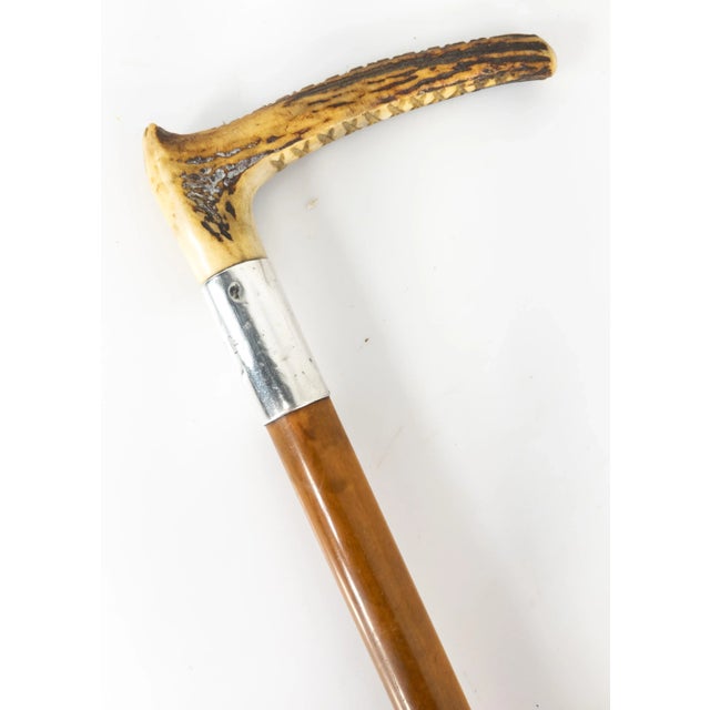 20th Century Sterling Silver and Stag Horn Antler Riding Crop | Chairish