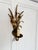 Vintage Gilt Metal Wheat Sheaf Wall Sconce, France, 1960s For Sale - Image 9 of 13