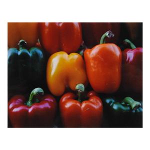 Small Late 20th Century Colorful Peppers Photograph