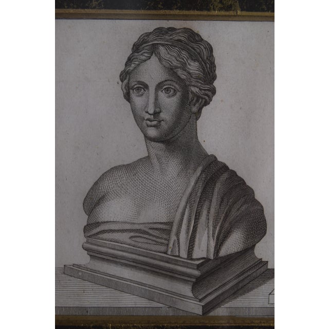 1805 Tommaso Piroli Engraving of Sappho – Antiquités D’Herculanum, Plate XXIV For Sale In New York - Image 6 of 8