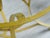 French Iron and Glass Garden Table with Folding Chairs, 1960, Set of 3 For Sale - Image 18 of 18