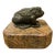 Mid 20th Century Bronze Toad Box on Marble Base For Sale