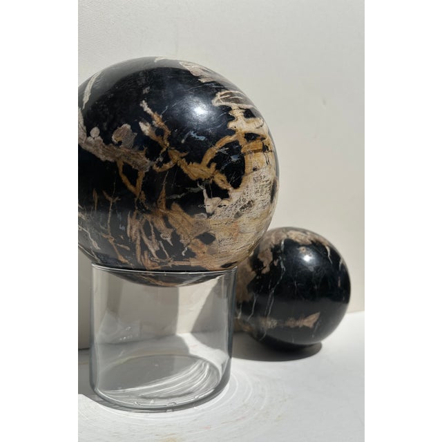 Ebony Two Polished Petrified Wood Organic Spheres. For Sale - Image 8 of 10