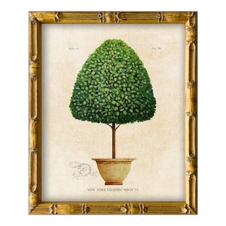 Framed Reproduction Vintage "Topiary Garden (1)" Art Print For Sale