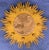 Gold 1940s Monumental Carved Sunburst Wall Mirror, Francisco Hurtado Attributed For Sale - Image 8 of 8