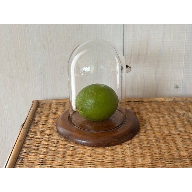 Mid-Century Modern Mid-Century Modern Cloche For Sale - Image 3 of 7