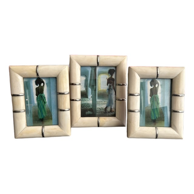 Set of 3, Bone and Metal Picture Frames For Sale