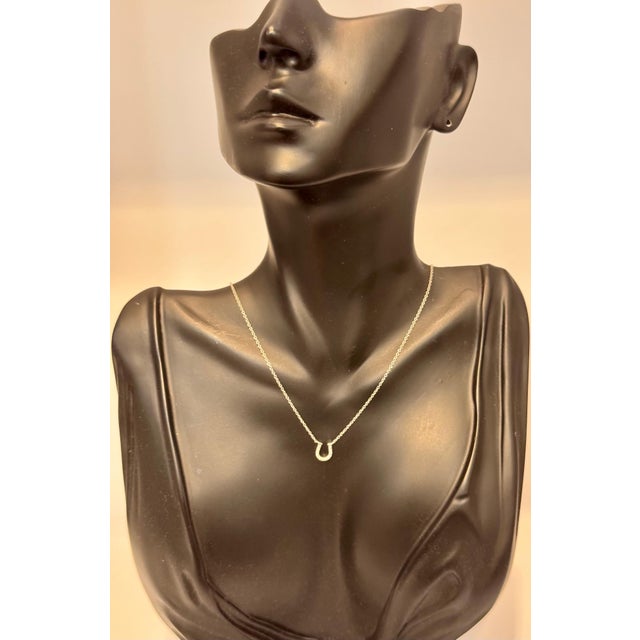 Tiffany & Co. Horseshoe 18P Diamond Necklace 16" 18 Karat White Gold Authentic For Sale - Image 12 of 18
