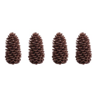 Pine Cone Brown Candles, Medium, Set of 4 For Sale