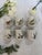 Bird-Themed Coffee Service from Villeroy and Boch, Set of 12 For Sale - Image 6 of 7