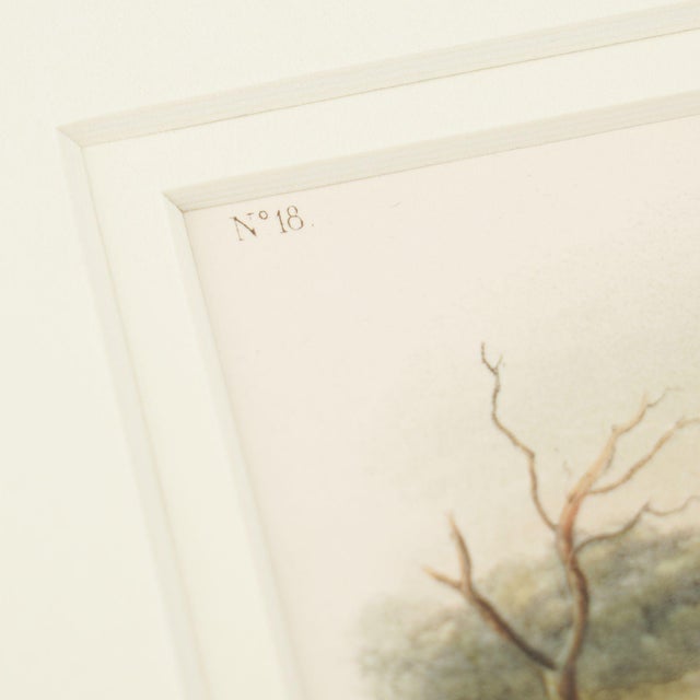 American Jay's Squirrel From the “Quadrupeds of North America" by James Audubon, 1848 For Sale - Image 3 of 11