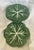 Vintage Bordallo Pinheiro Green Cabbage Luncheon Plates a set of 4. Perfect to mix and match with other cabbage...