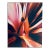 Jeffrey Rothstein, Flora Fauna Series Vintage Color Photograph Abstract Flower Fuji Crystal Photo, c.1998 For Sale