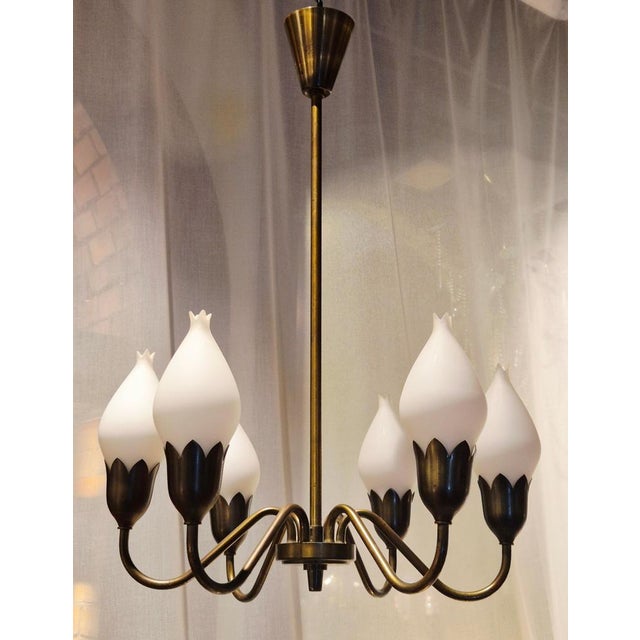 Brown Mid-Century Tulip Chandelier in Brass and Glass attributed to Fog & Mørup, Denmark, 1960s For Sale - Image 8 of 9