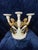 Mid 20th Century Vintage Italian Gold Gilt & Porcelain Angel Candelabra For Sale - Image 5 of 5