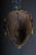 Antique Carved Wooden Face Mask For Sale - Image 10 of 11