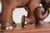 Vintage 1960s Thai Hand-Carved Teak Elephant Table Lamp For Sale - Image 14 of 18
