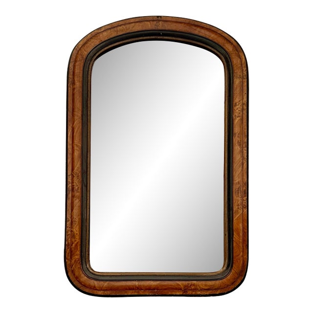 Antique 19th C. Louis Philippe Faux Burl Tortoiseshell Style Cushion Mirror For Sale