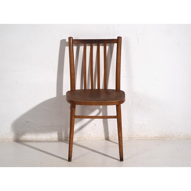 Set of Vintage Bentwood Chairs, 1960 For Sale - Image 5 of 8