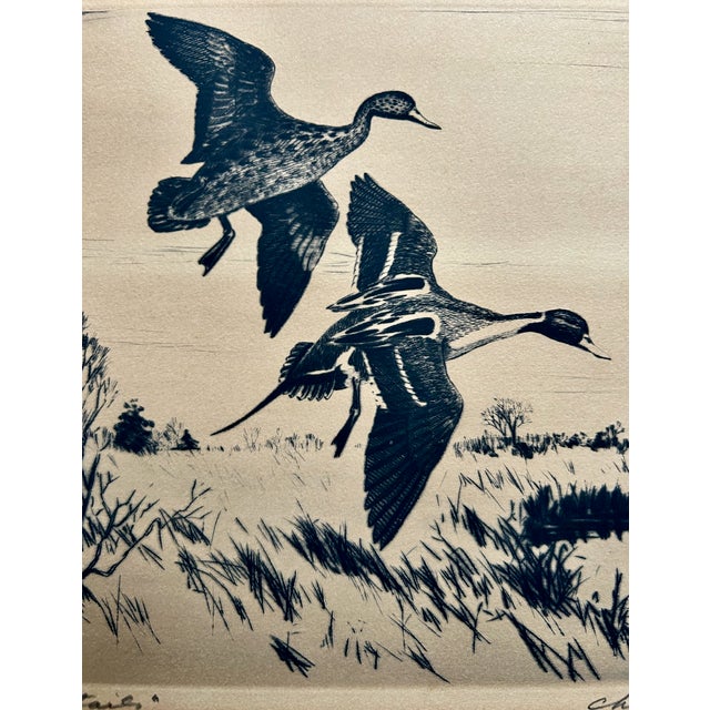 1940s Churchill Ettinger "Pair of Pintails" Black & White Drypoint Etching, 1942 For Sale - Image 5 of 12