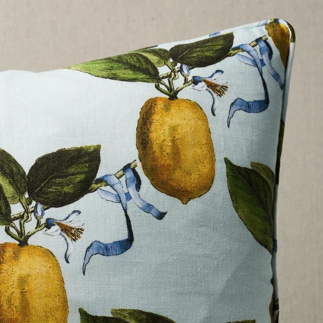 Schumacher Schumacher x Johnson Hartig Le Citron 20" Pillow in Sky For Sale - Image 4 of 6